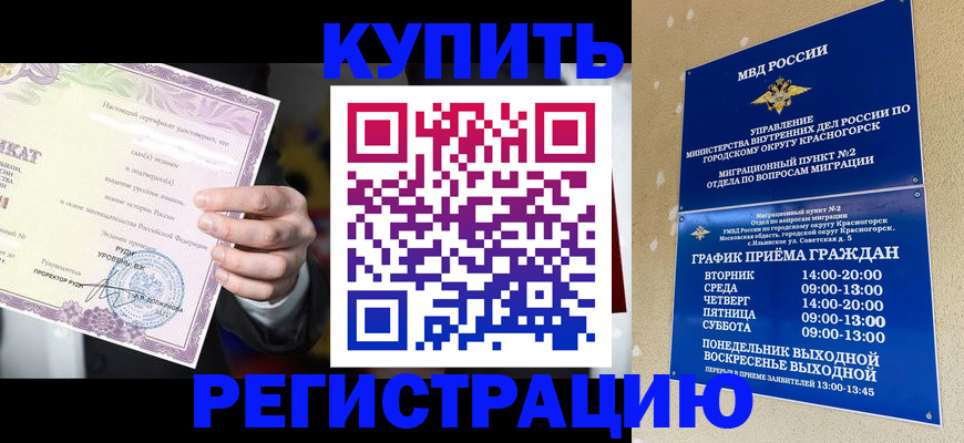 временная регистрация собственник в Борзе